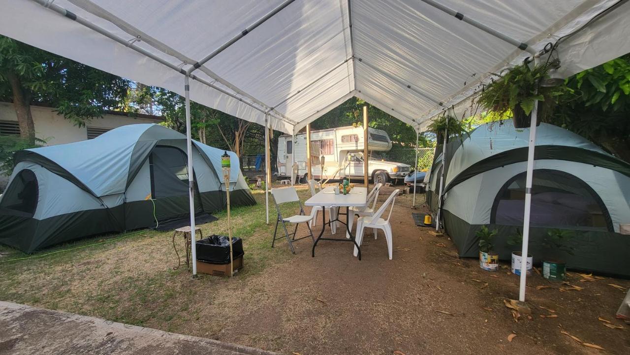 212 Bio Bay Tour Bay 5 Minutes Walk-Inhouse Campsite-Full Bed-Fan-Torch Tent'S Rental'S-Cancer'S Surgery Fundraising Cash Mercy Camp-Not A Hotel-Open Country-No Snake-Jabali Nor Bears-Ruster Tradition Meal-Bath Shared- Whatsapp For Pick Up Airport Or 别克斯 外观 照片